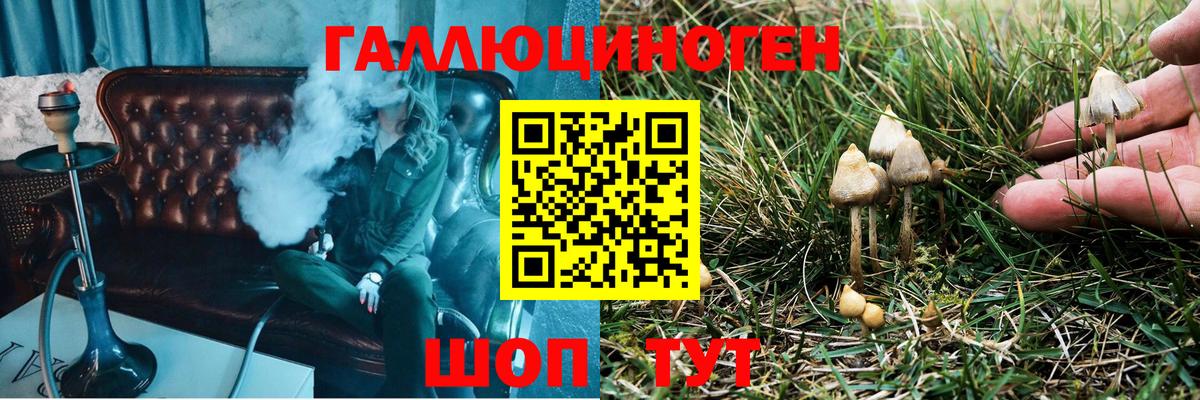 Назрань  Галлюциногенные грибы мицелий  Псилоцибиновые грибы Psilocybe  Вход с VPN 